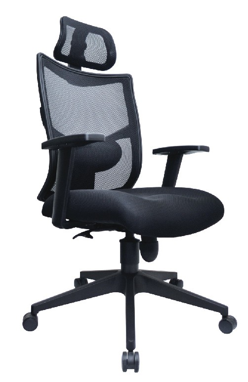 Ergonomic Office Setup: How to Reduce Back Pain While Working