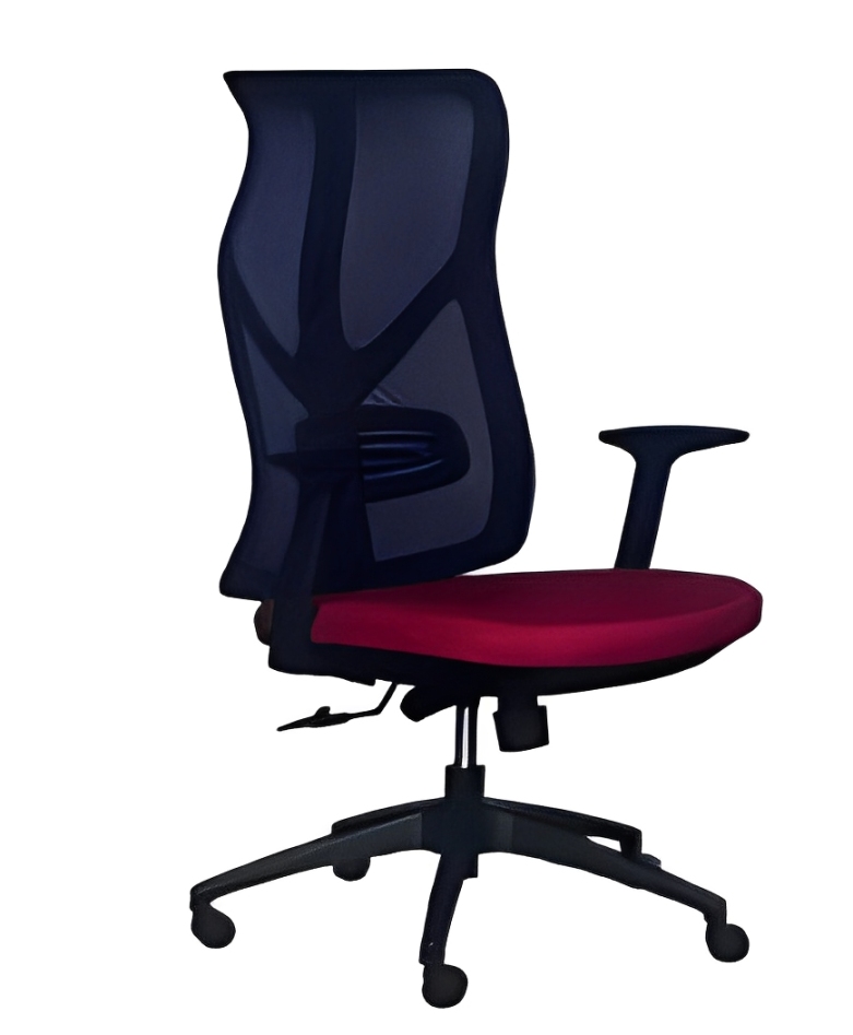 Ergonomic Office Setup: How to Reduce Back Pain While Working