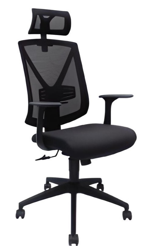 Ergonomic Office Setup: How to Reduce Back Pain While Working