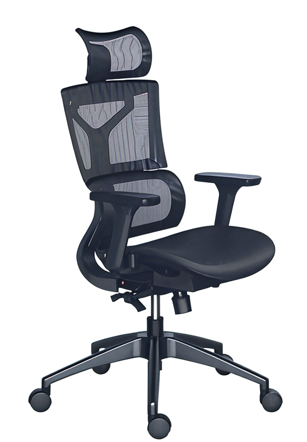 Ergonomic Office Setup: How to Reduce Back Pain While Working