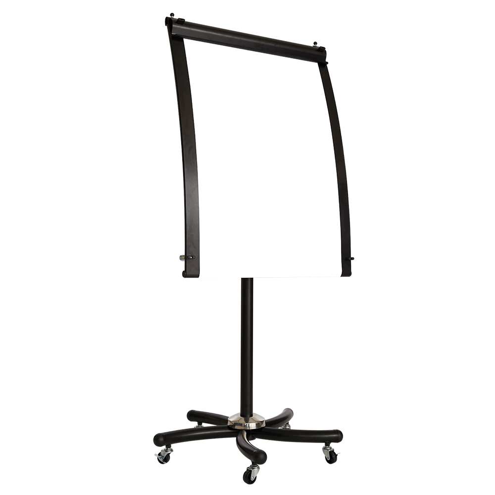 Pro Flip Chart
