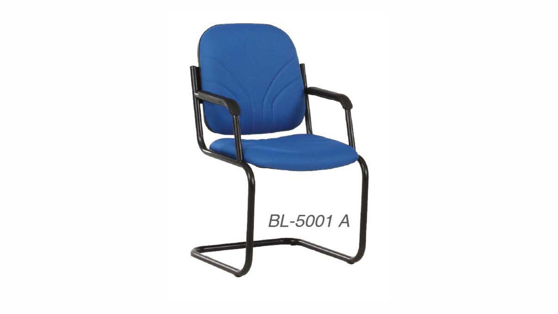 Budget Seating-Visitor