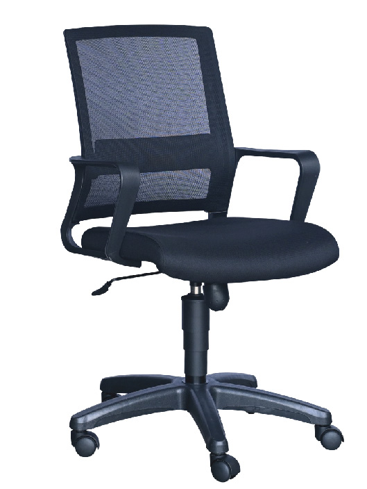 Mesh Chair-Low Back